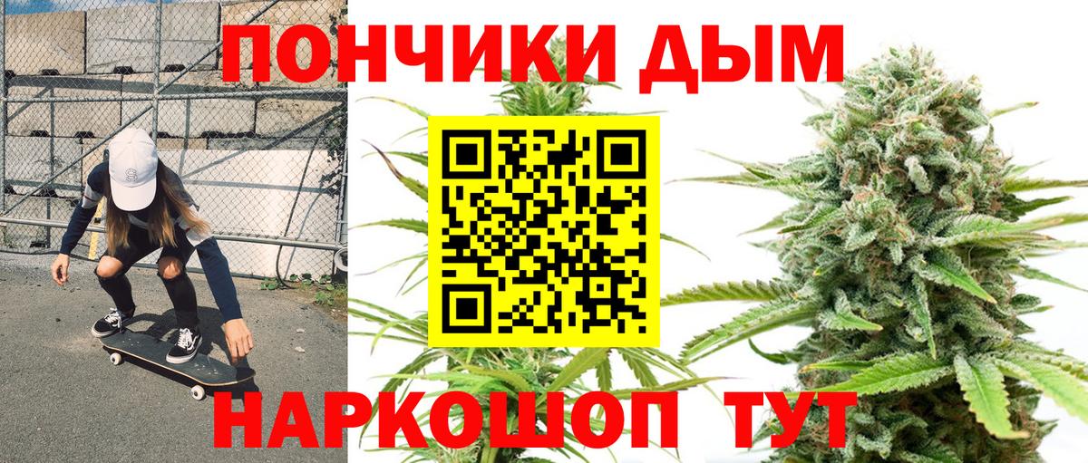 Марихуана гибрид Кингисепп